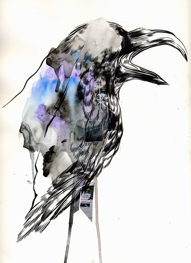 803x1107 Mc Drawn Raven Sketch Watercolour, Photos, Brush And Ink