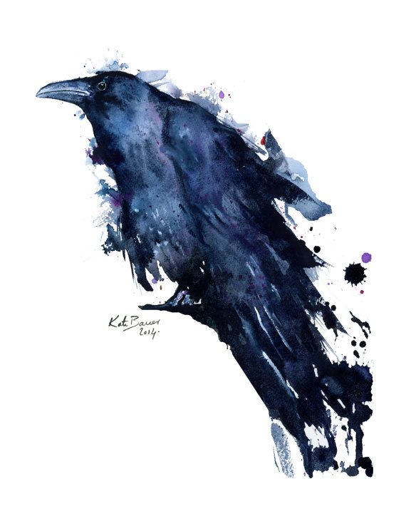 570x738 Watercolor Bird Art