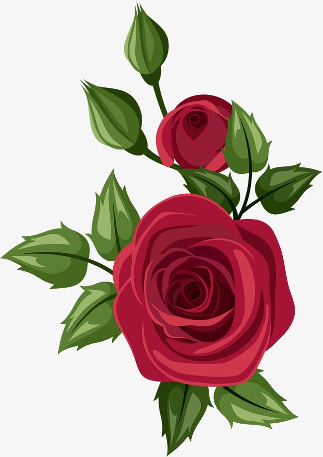 650x920 Pin By Hind Al Harmoodi On Flower In 2018 Painted