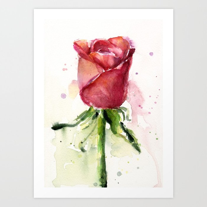 700x700 Rose Watercolor Red Flower Painting Floral Flowers Art Print By