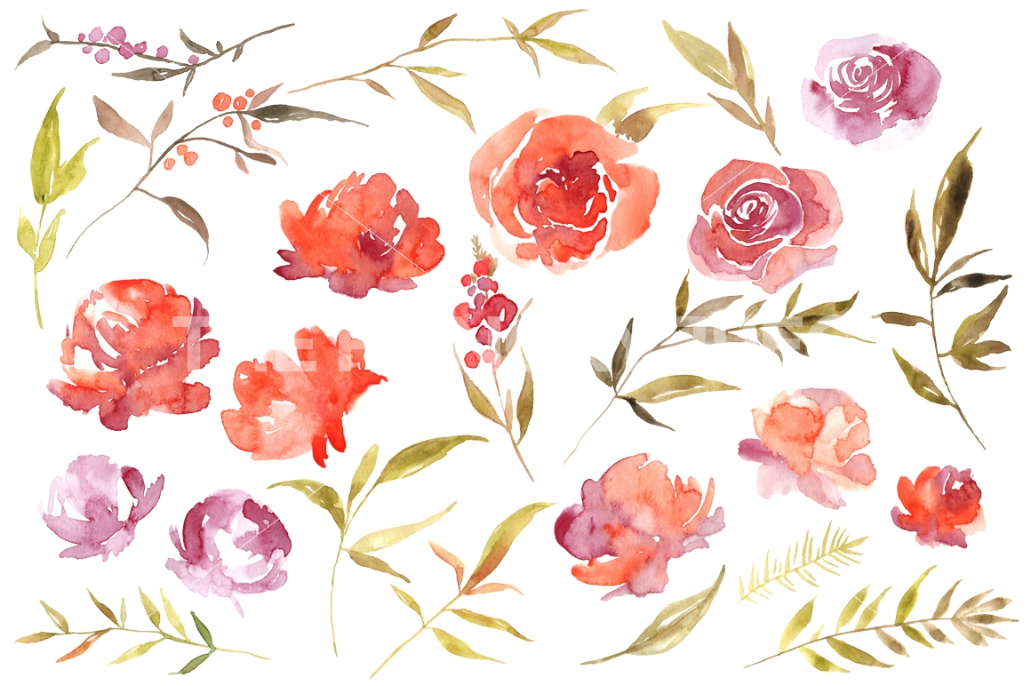 1160x772 Watercolor Red Scarlet Png Flowers, Leaves, Branches By