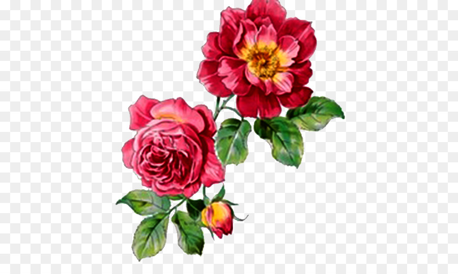 900x540 Watercolour Flowers Rose Watercolor Painting