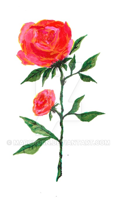 400x679 Red Rose Watercolor By Marchorn