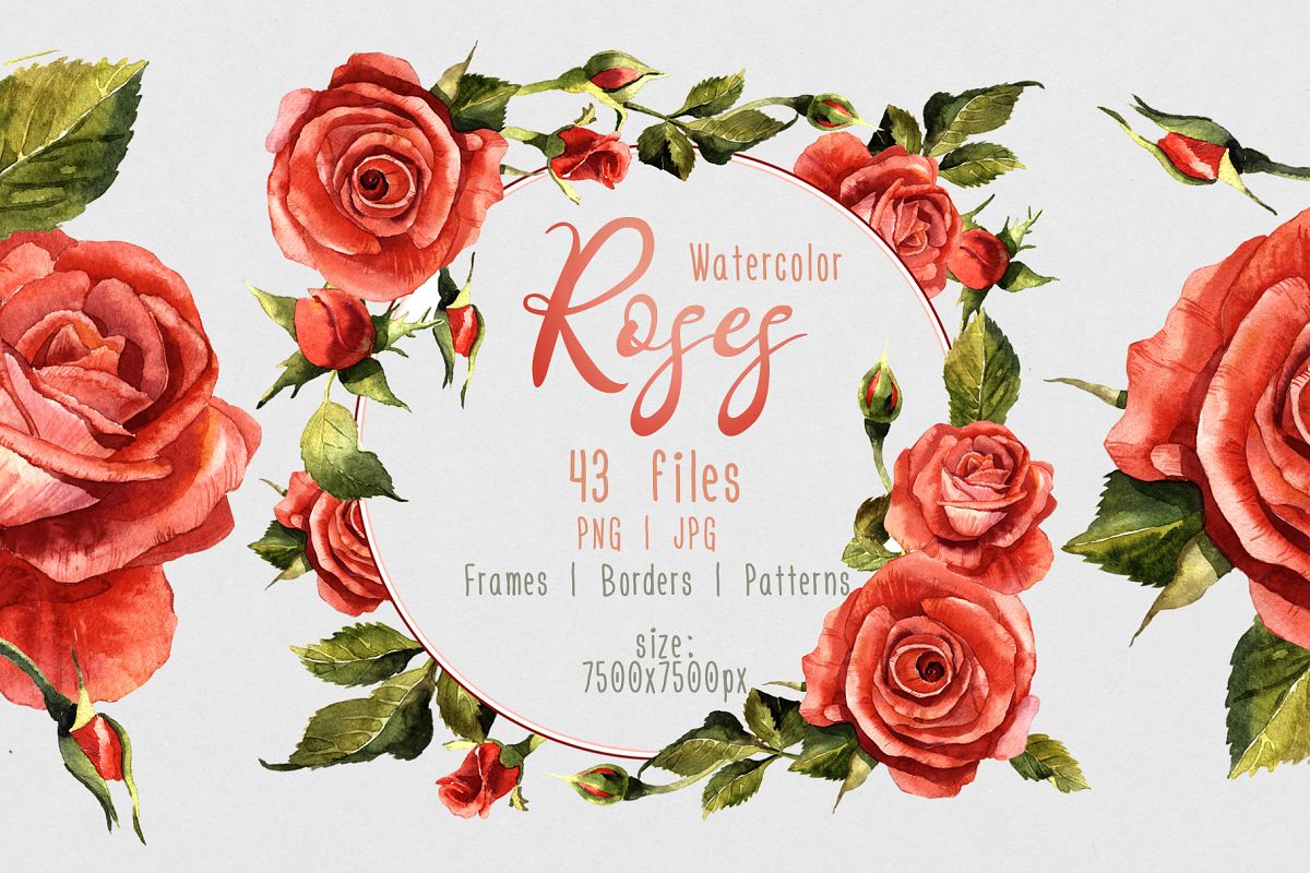 1200x800 Red Roses Png Watercolor Flower Set