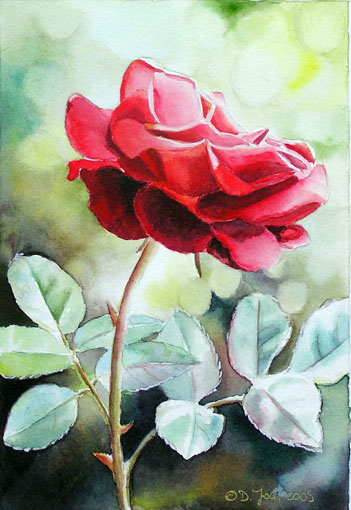 351x510 Rote Rose Gemalt In Aquarell,red Rose Small Watercolor Painting,