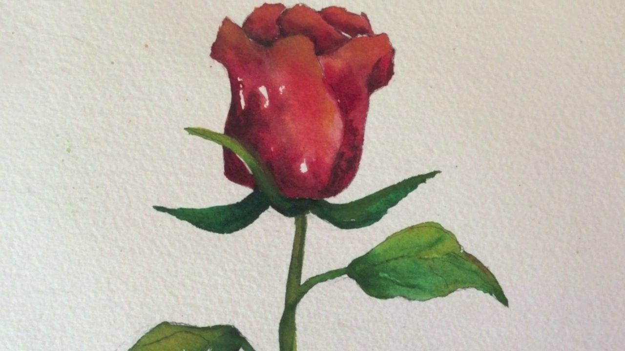 1280x720 Step By Step Watercolor Tutorial ~ How To Paint A Red Rose