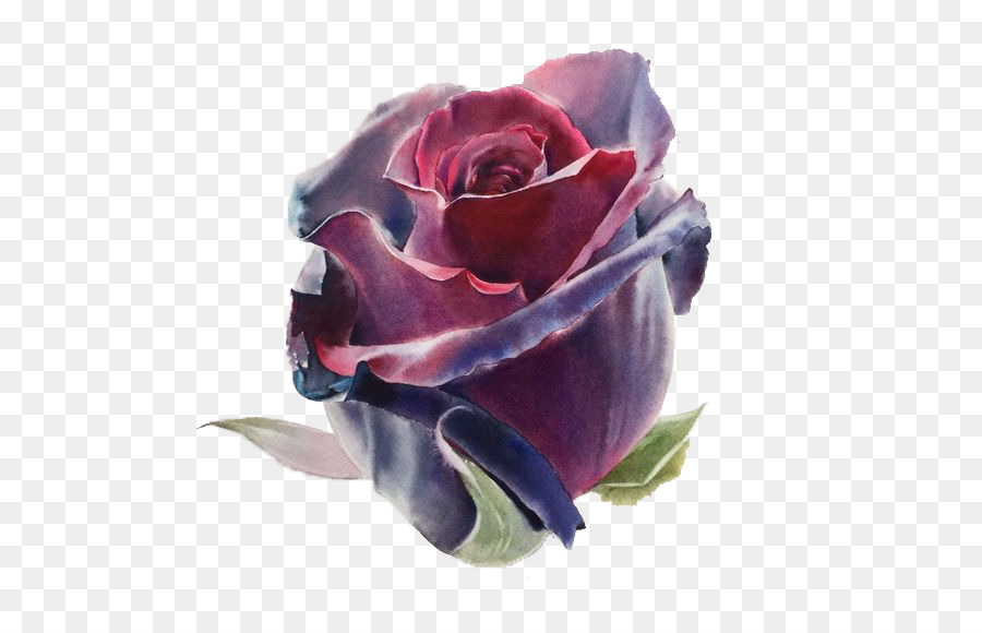 900x580 Download Watercolor Flowers Watercolor Painting Drawing Ar Wine