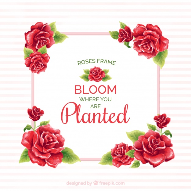 626x626 Frame Of Red Roses With Watercolor Message Vector Free Download