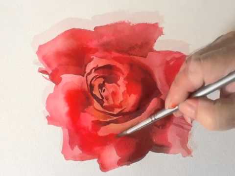 480x360 How To Paint A Red Rose In Watercolours By Trevor Waugh