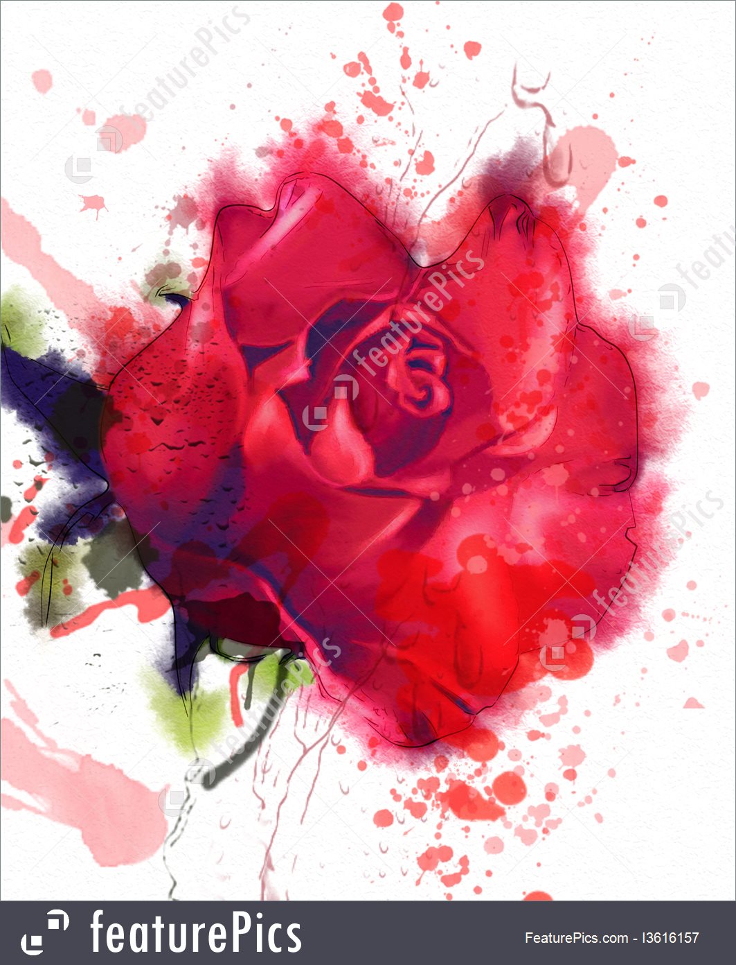 1063x1392 Illustration Of Red Rose, Watercolor