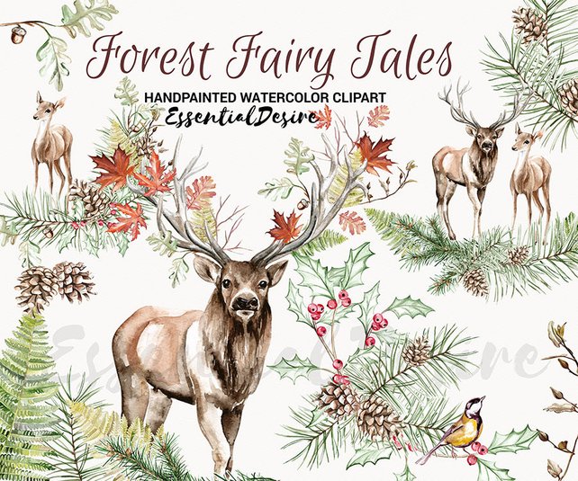 642x535 Deer Clipart Watercolor Antlers Clipart Watercolor Reindeer Etsy