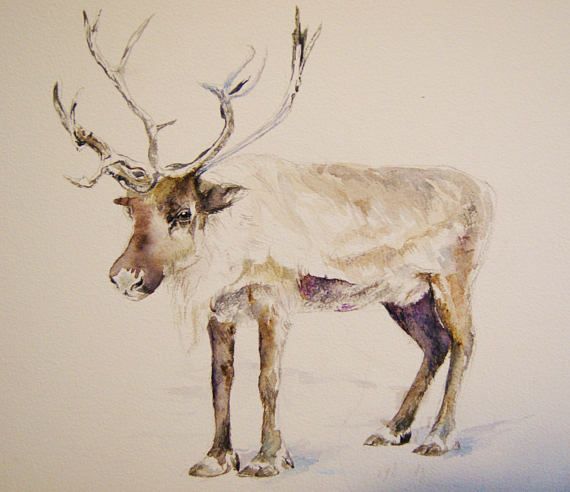 570x492 Reindeer Painting Original Watercolor Christmas