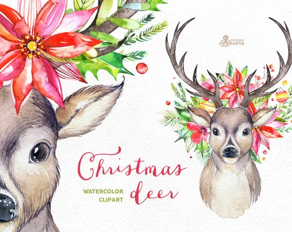 570x453 Christmas Deer. Watercolor Deers Antlers Flowers Hand Etsy