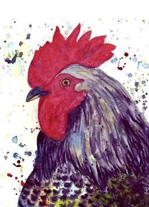 217x300 Rooster Watercolor Original Painting 8 X Ebsq Artist Ricky