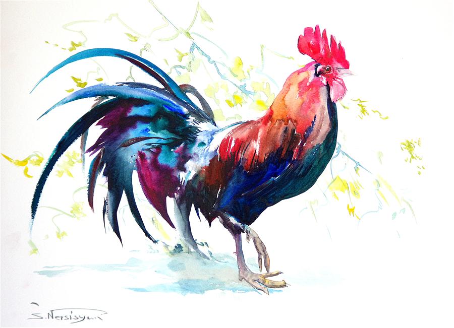 900x651 Rooster