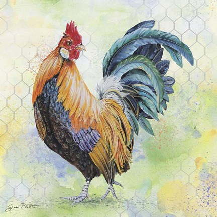 432x432 Watercolor Rooster