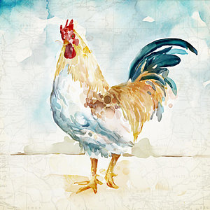300x300 Watercolor Rooster Art Fine Art America