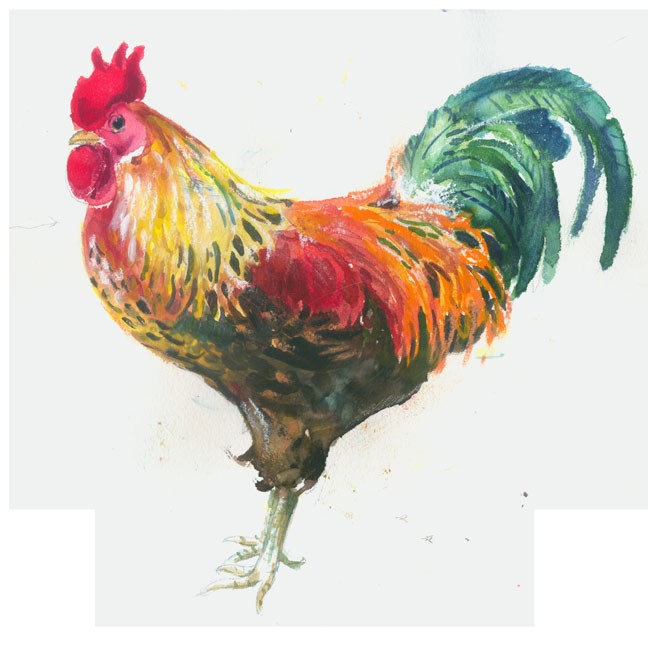 648x645 Watercolor Lesson Painting A Colorful Bantam Rooster Andrea