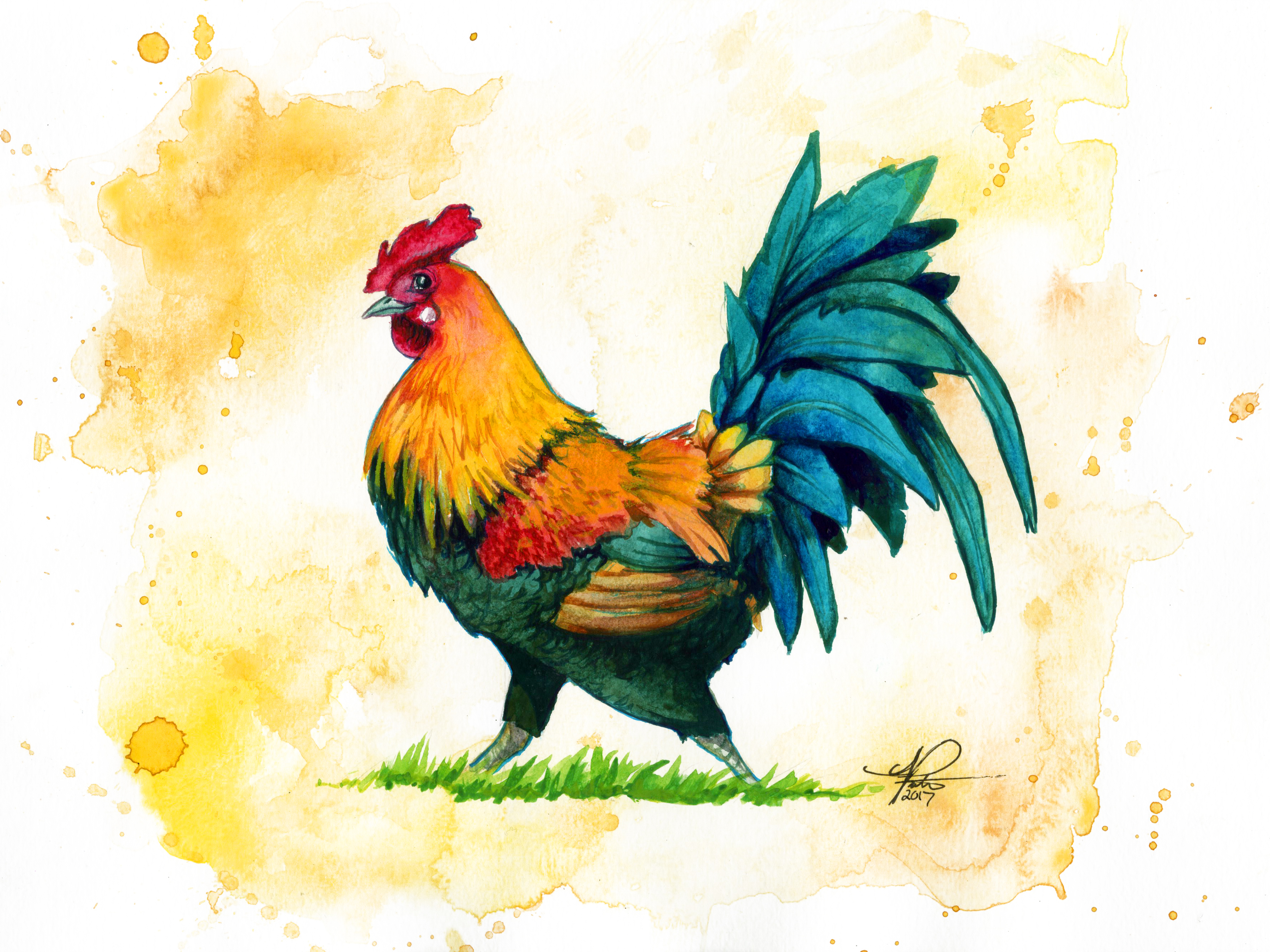 3600x2700 Rooster Watercolor Painting Class