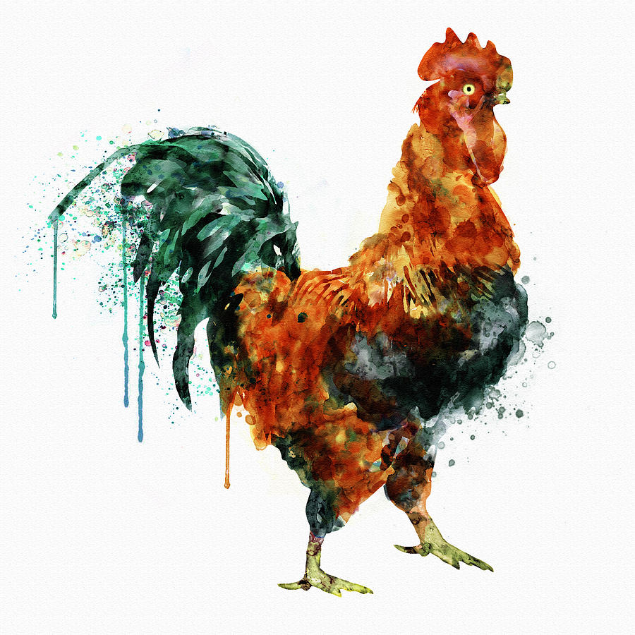 900x900 Rooster Watercolor Painting Painting By Marian Voicu
