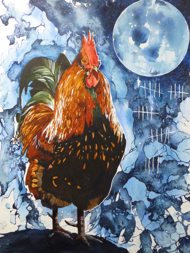 768x1024 Rooster Or Hen