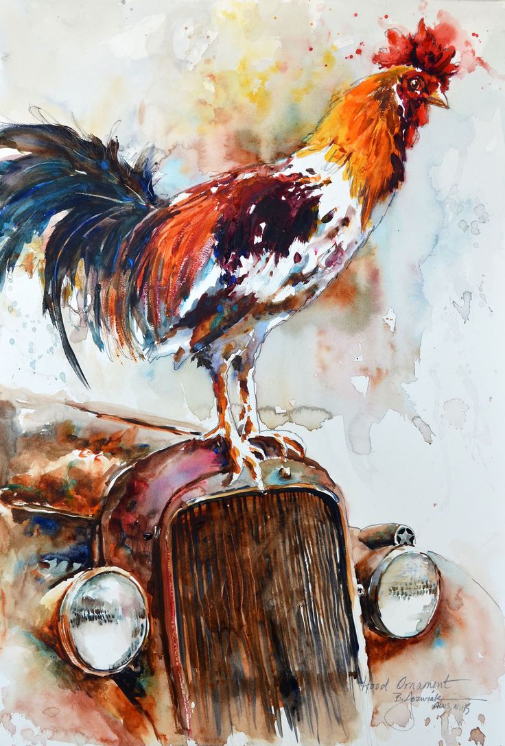 736x1088 The 9 Best Images About Rooster