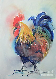 215x300 Watercolor Rooster Paintings