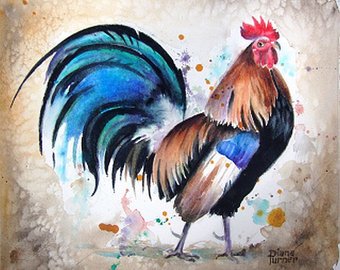340x270 Watercolor Painting Original Rooster Limited Edition Giclee