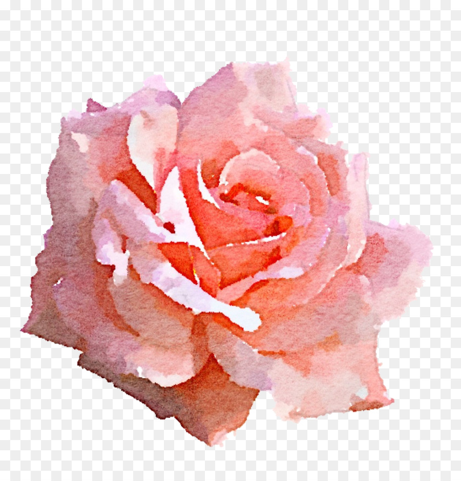 900x940 Light Rose Pink Clip Art