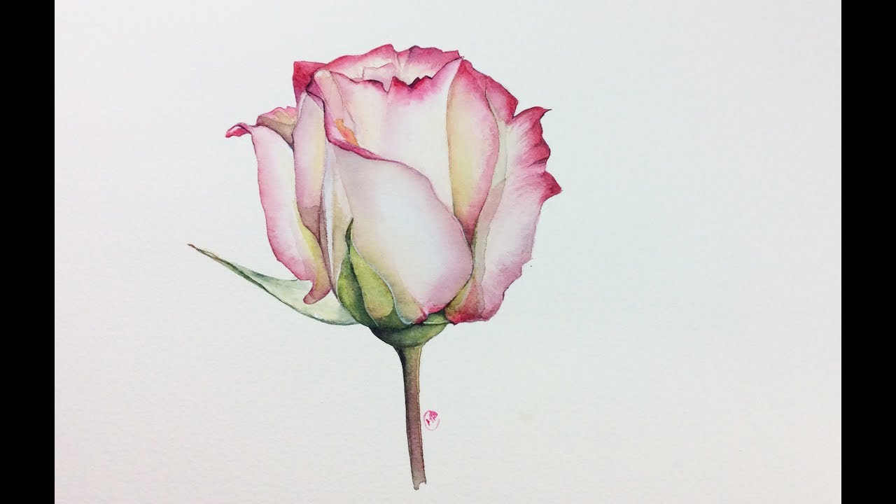 1280x720 Realistic Rose In Watercolor Painting Tutorial