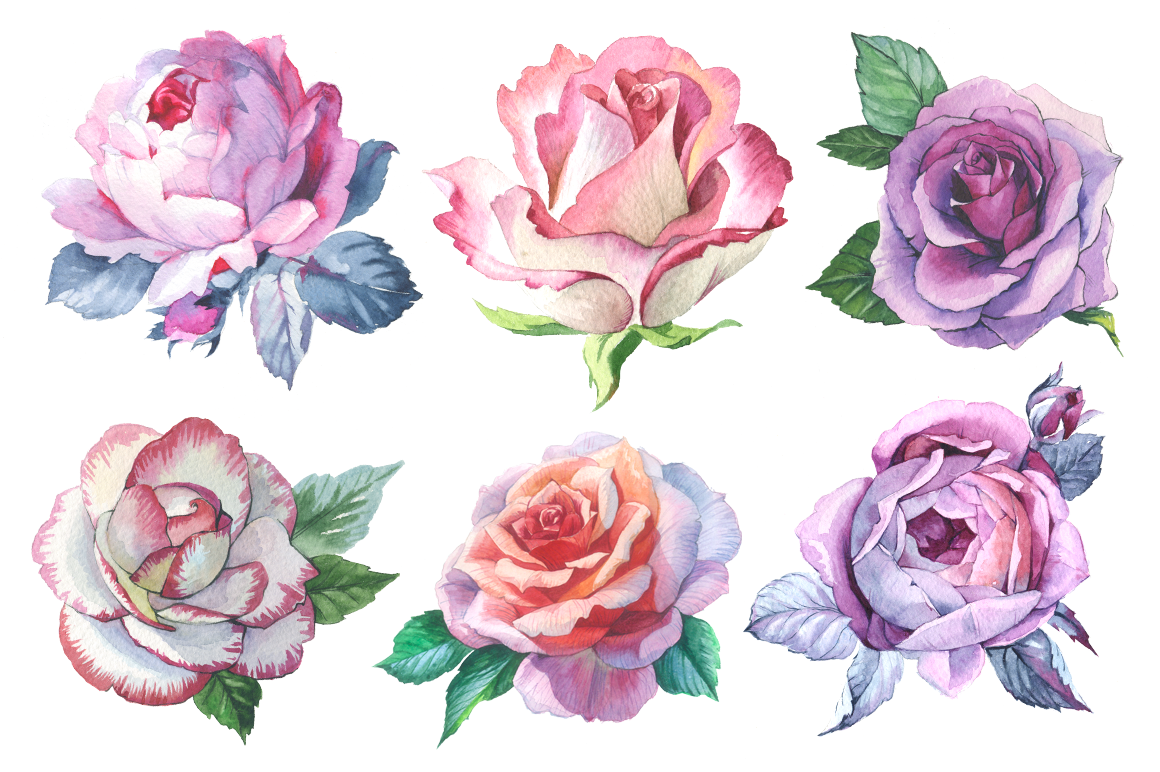 1160x772 Romantic Set Of 6 Png Watercolor Roses