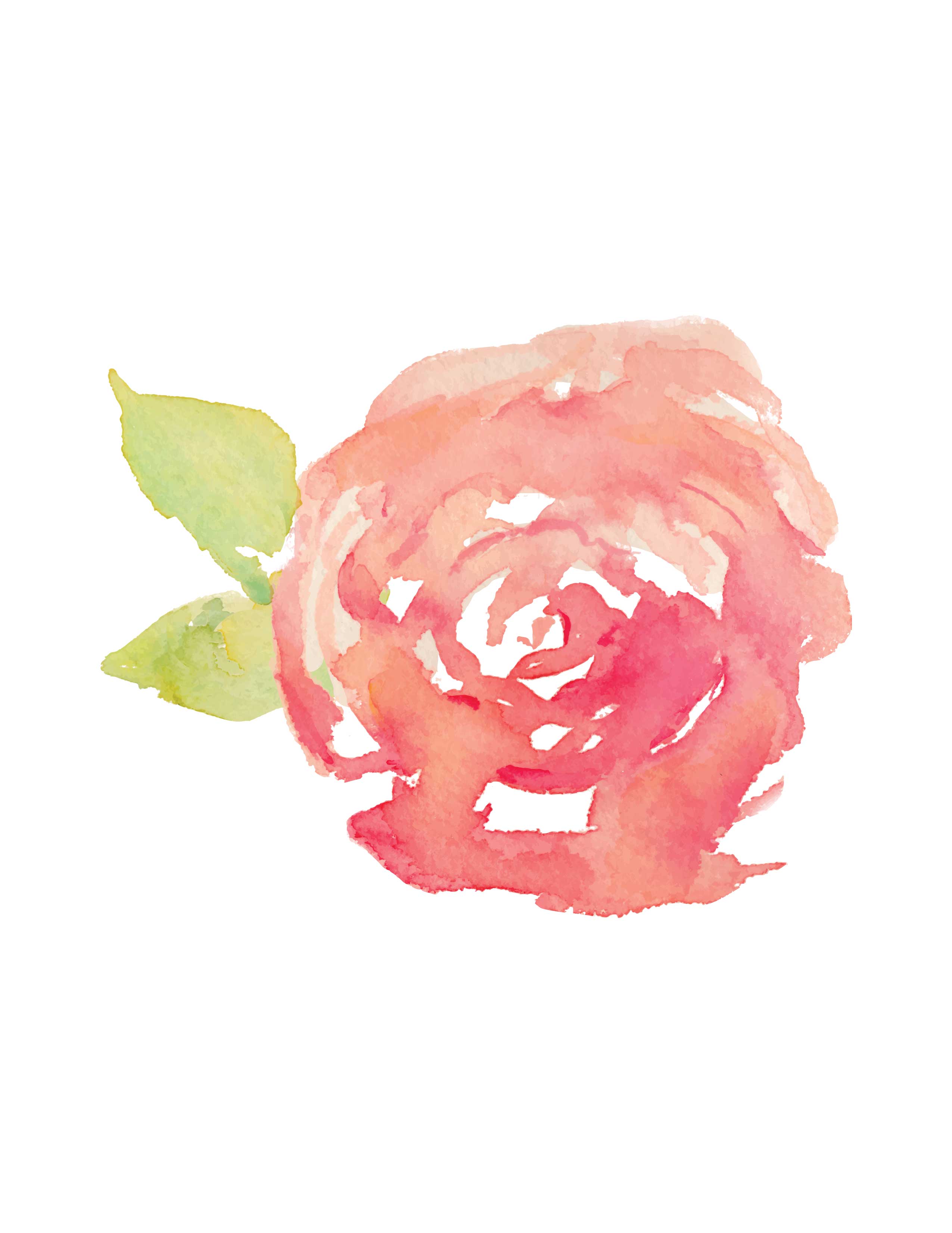 2550x3300 A Cute, Watercolor Rose Svg Cut File
