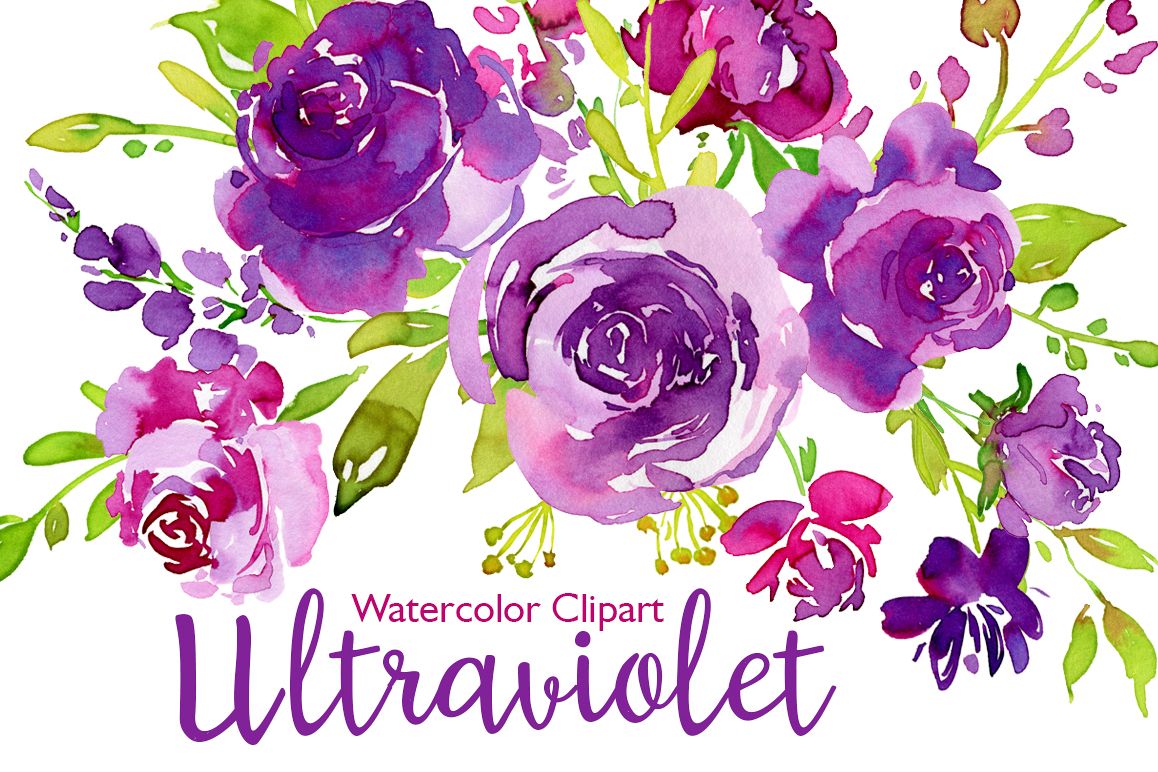 1158x772 Ultraviolet Watercolor Roses Flowers
