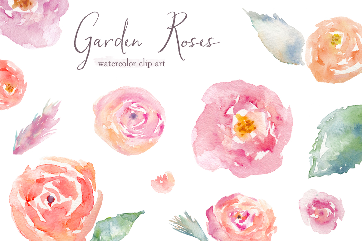 1160x772 Watercolor Rose Clip Art