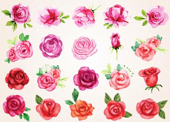 570x410 Watercolor Roses Clipartwatercolor Roses Svgpng 300 Ppired Etsy