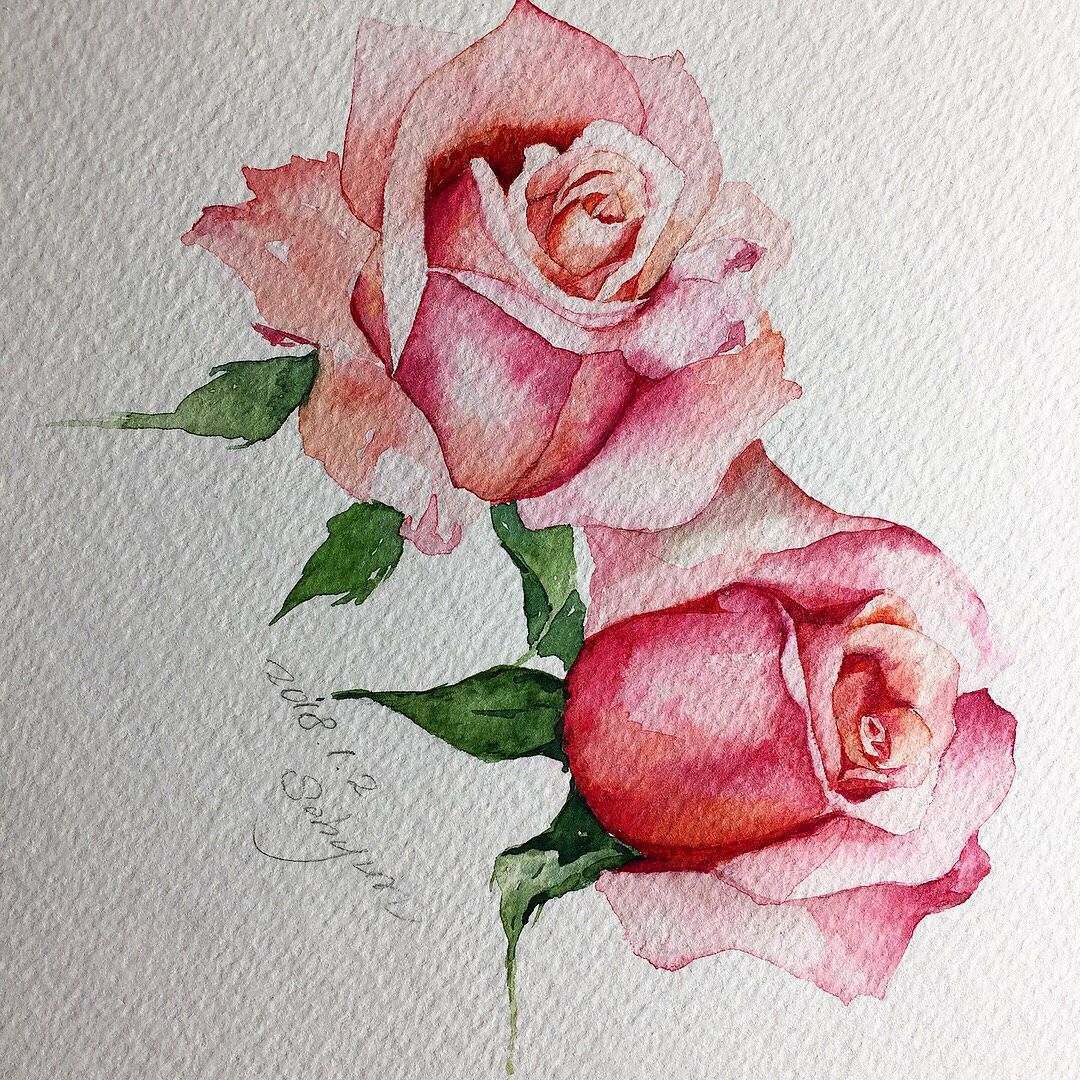 1080x1080 Watercolor Roses Art Watercolor, Rose And Flowers