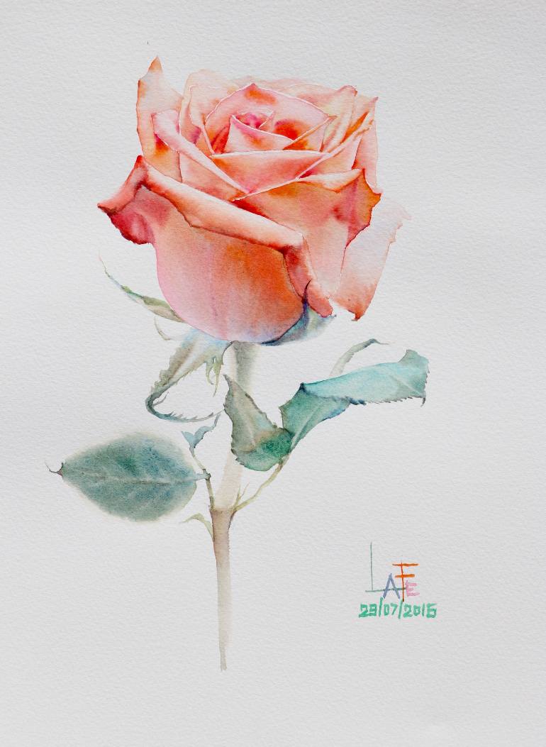 770x1053 Watercolor Without Drawing Rose 29072016 Painting By La Fe
