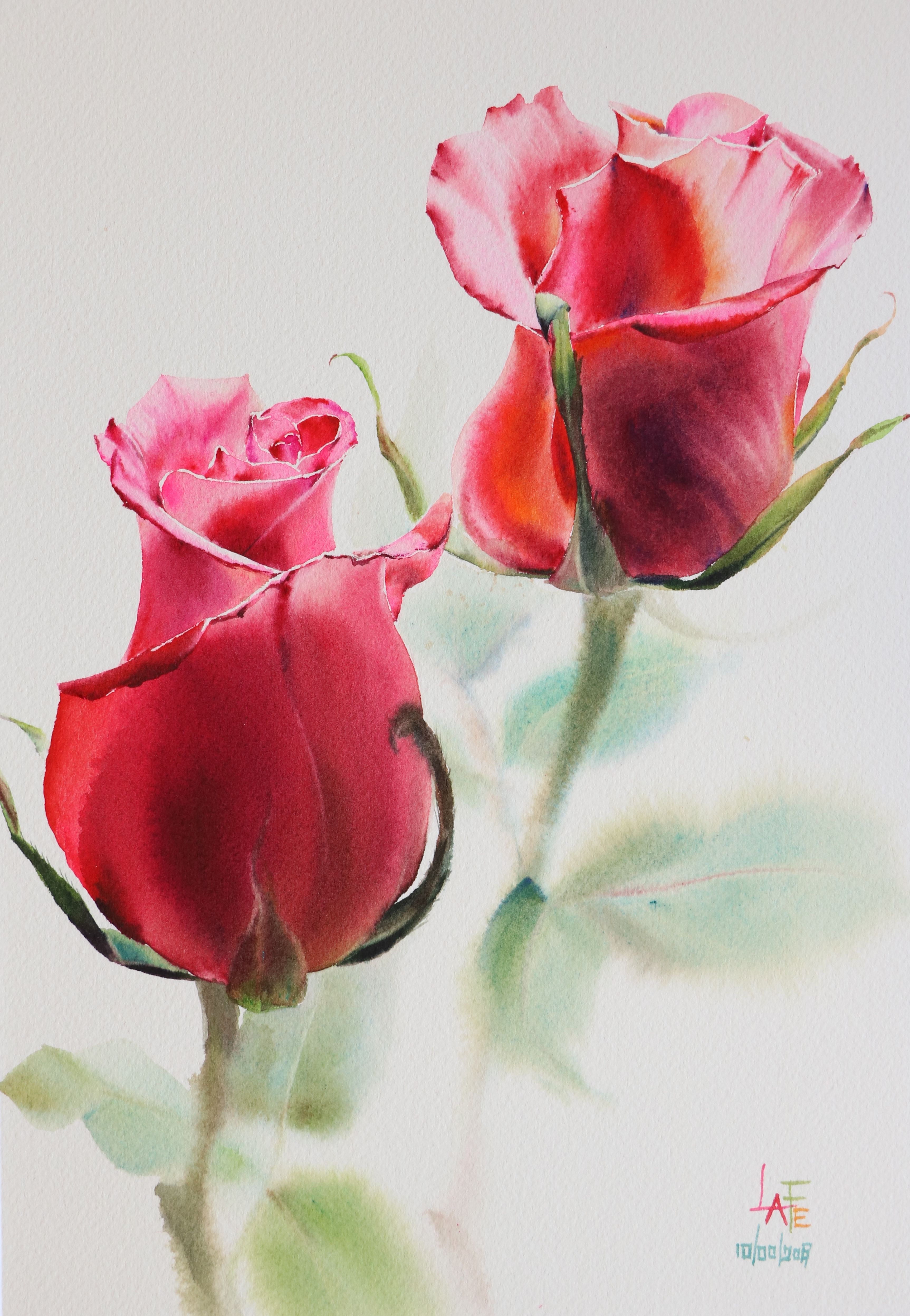 3450x4988 Watercolor Without Drawing Rose By Lafe Flowers In 2018