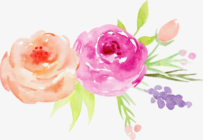 650x448 Hand Painted Watercolor Roses Decorative Elements, Watercolor