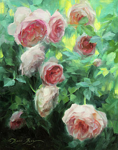 236x300 Rose Bush Paintings Fine Art America