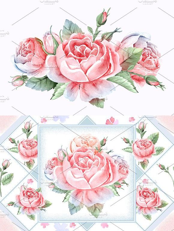 580x772 Rose Flower Watercolor Illustration. Watercolor Flowers Flower