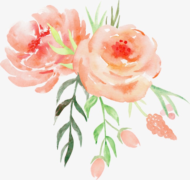 650x615 Hand Painted Watercolor Roses Decorative Elements, Watercolor