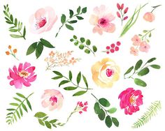 236x188 Best Watercolor Flower Clip Art Images In 2018