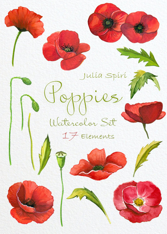 531x744 Watercolor Poppies Flowers Clipart, Poppy Hand Painted, Watercolor