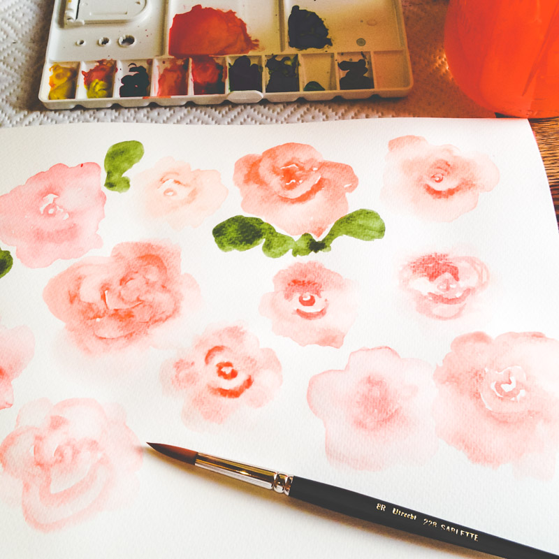 800x800 Watercolor Rose Experiments