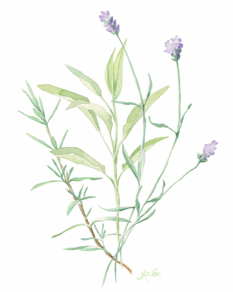 819x1024 Katrina Pete