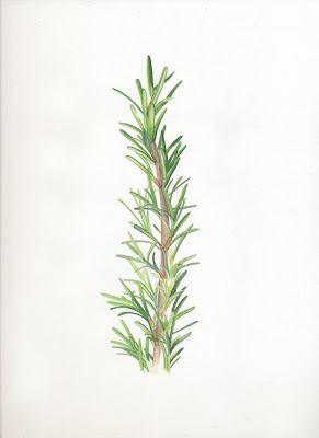 291x400 Nuncketest Rosemary Details