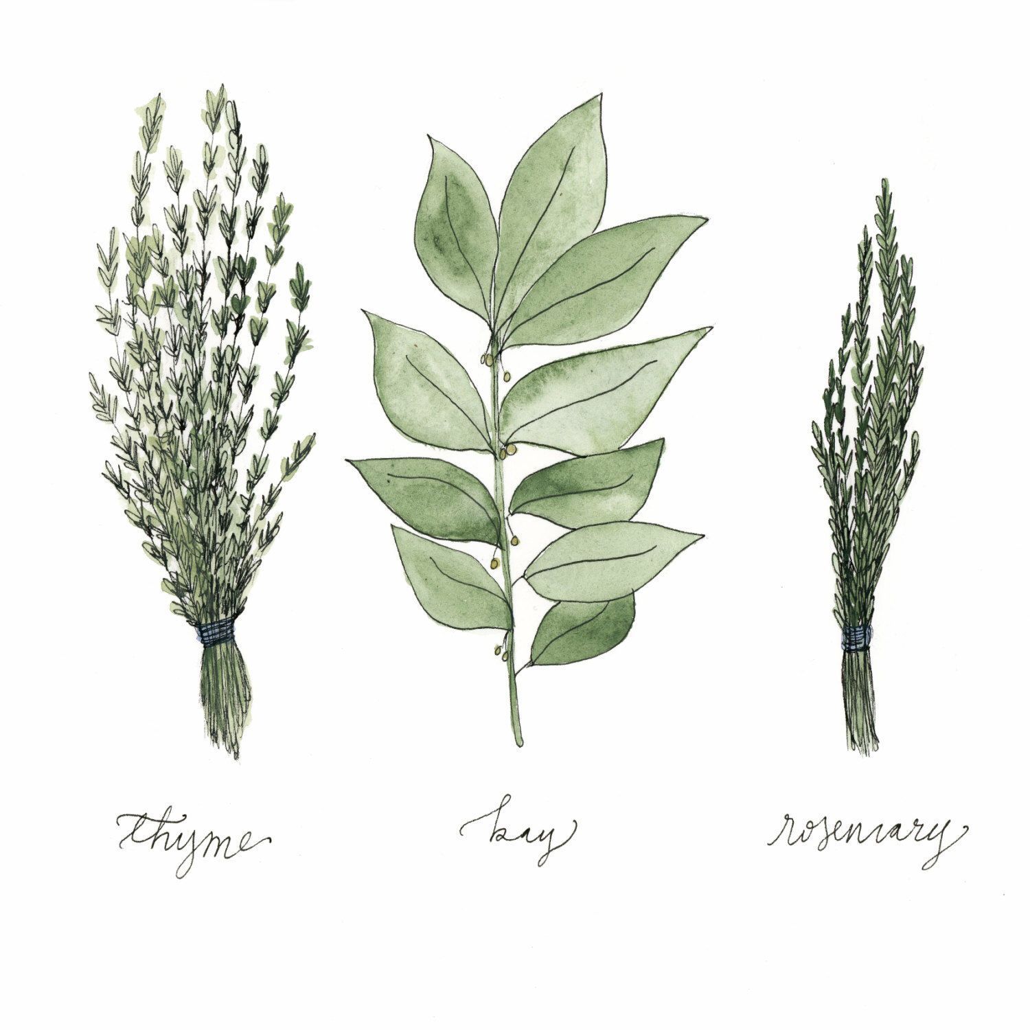 1500x1500 Pin By D Courtney On Art Watercolor Print