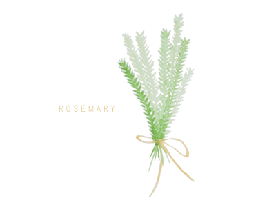 400x300 Rosemary Bundle By Anna E Zimmerman