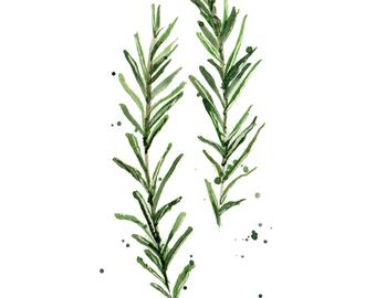 340x270 Watercolor Herbs Etsy